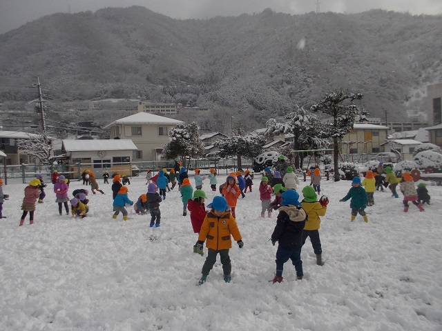 20160119y02.jpg