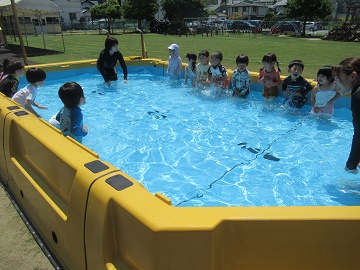 p12.jpg