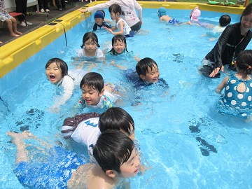 p2.jpg