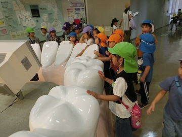 o12.jpg