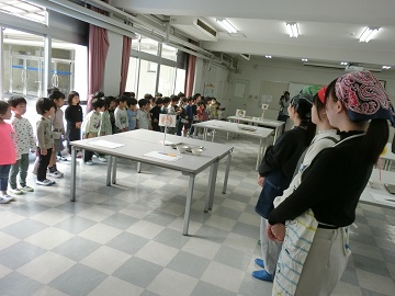 e1.jpg