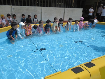 ｐ１.jpg