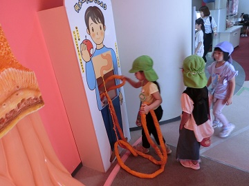 o11.jpg