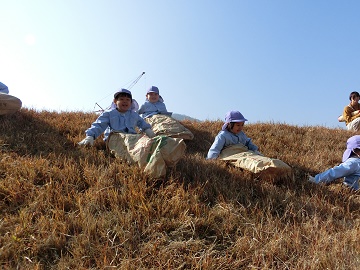 k3.jpg