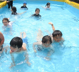 p5.jpg