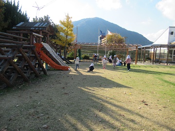 e2.jpg