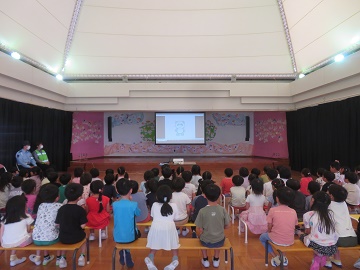 k15.jpg