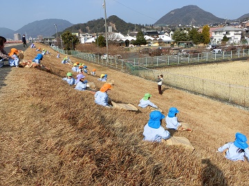 k3.jpg