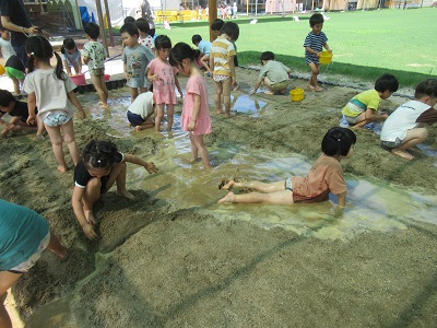 IMG_2942.jpg