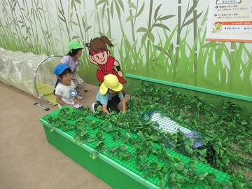 IMG_9794.bmp
