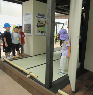 IMG_9803.bmp