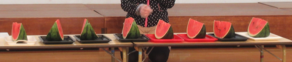 12.bmp