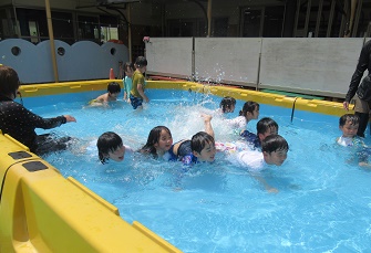 p6.jpg