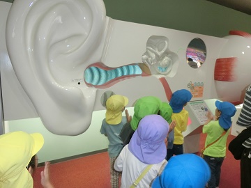 o15.jpg