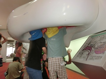 o14.jpg