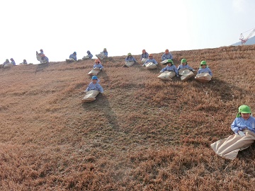 k3.jpg