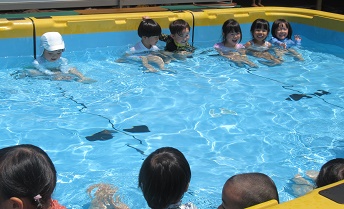 p13.jpg