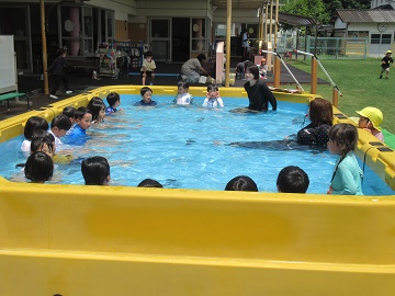 p4.jpg