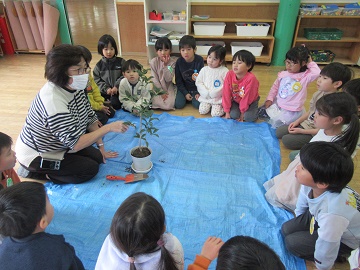 k5.jpg