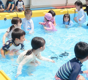 p2.jpg
