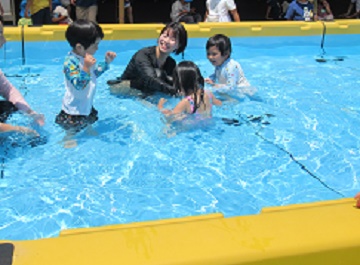 p4.jpg