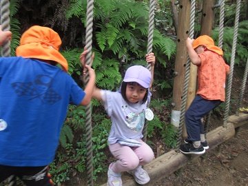 o1006.jpg