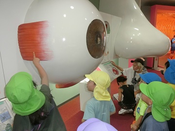 o16.jpg