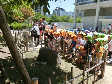 p32.jpg