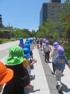 p33.jpg