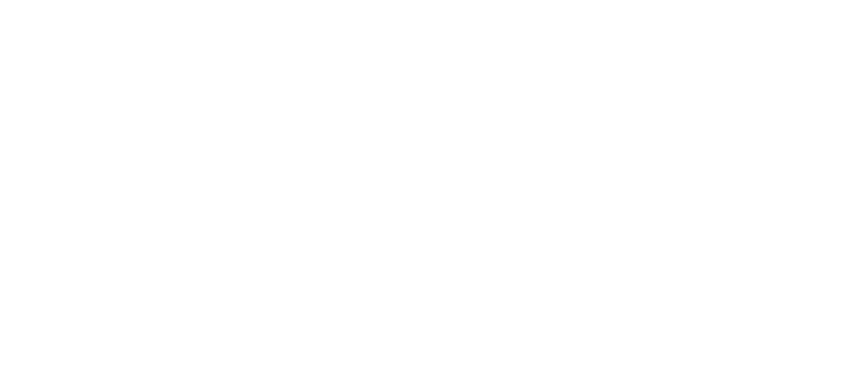 実践力 自立性 コミュニケーション力 活用力 人間性