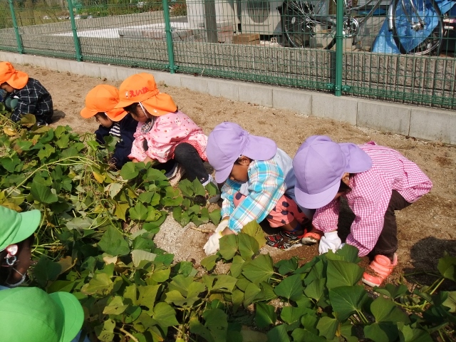 20131106-a02.jpg