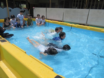 p7.jpg