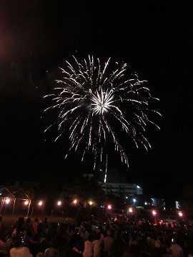 n6.jpg