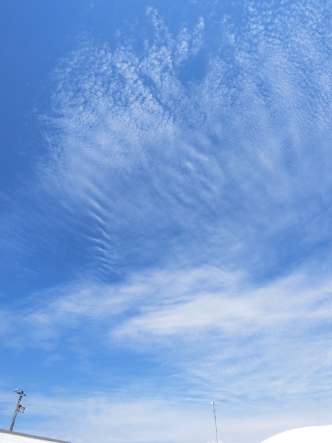 CIMG8774.jpg