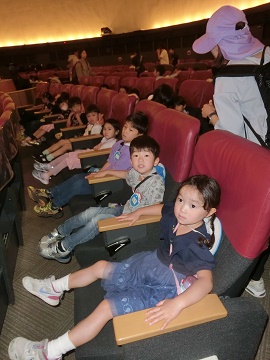 p5.jpg
