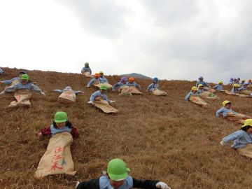 k4.JPG
