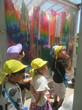 p21.jpg