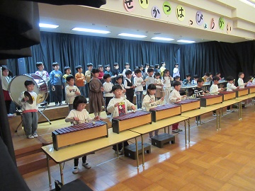 g15.jpg