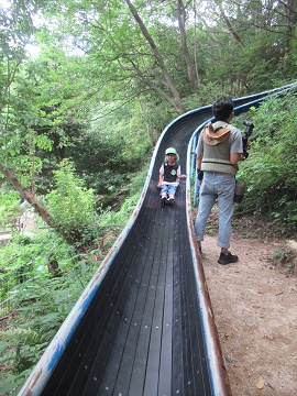 o1110.jpg