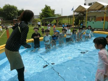 p1.JPG