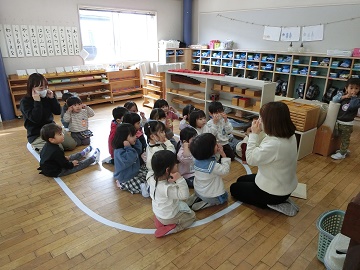 s735.jpg