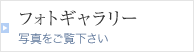 フォトギャラリー